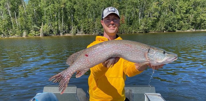Guest Holding Up Giant Northern Pike Catch Aspect Ratio 720 355
