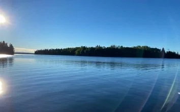 View Of The Treeline From The Wter