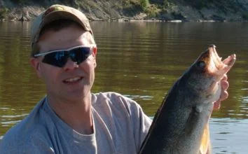 Walleye Large